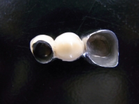 RIMG0484.JPG