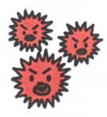 sigata-infuru1.jpg