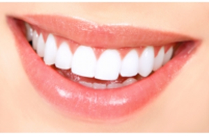 Fotolia_14546114_XS.jpg