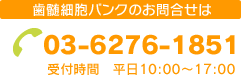 contact-tel.png