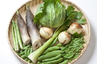 春野菜（小）.jpg