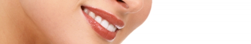 Fotolia_6620679_L.jpg